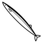 魚介類 Kagoのイラスト工房