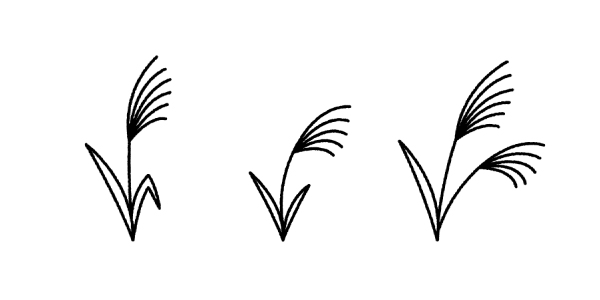 植物 Kagoのイラスト工房